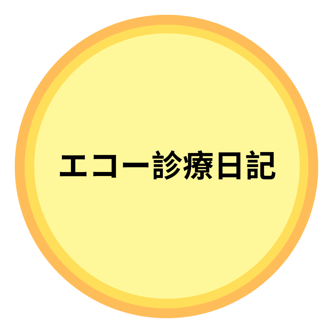 エコー診療日記