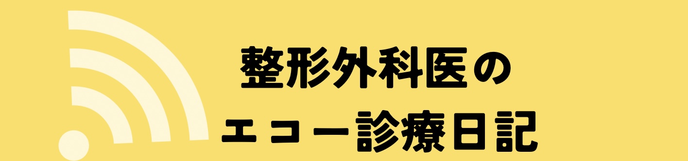 整形外科医のエコー診療日記